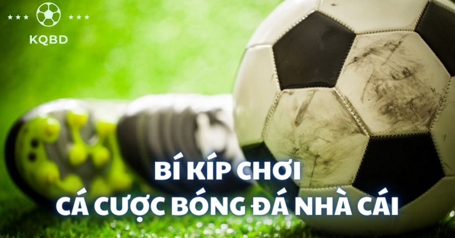 Bật mí cách cá cược bóng đá nhà cái hiệu quả cho tân binh