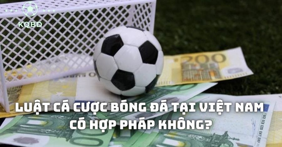 Luật cá cược bóng đá chi tiết và đầy đủ mới nhất 2024