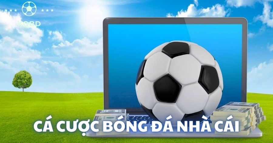 Bật mí cách cá cược bóng đá nhà cái hiệu quả cho tân binh