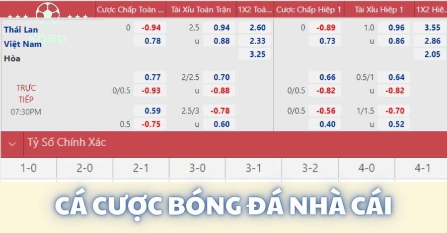 Bật mí cách cá cược bóng đá nhà cái hiệu quả cho tân binh