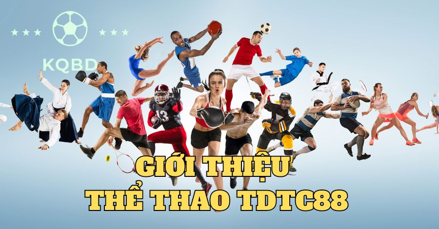 Giới thiệu sảnh thể thao TDTC88